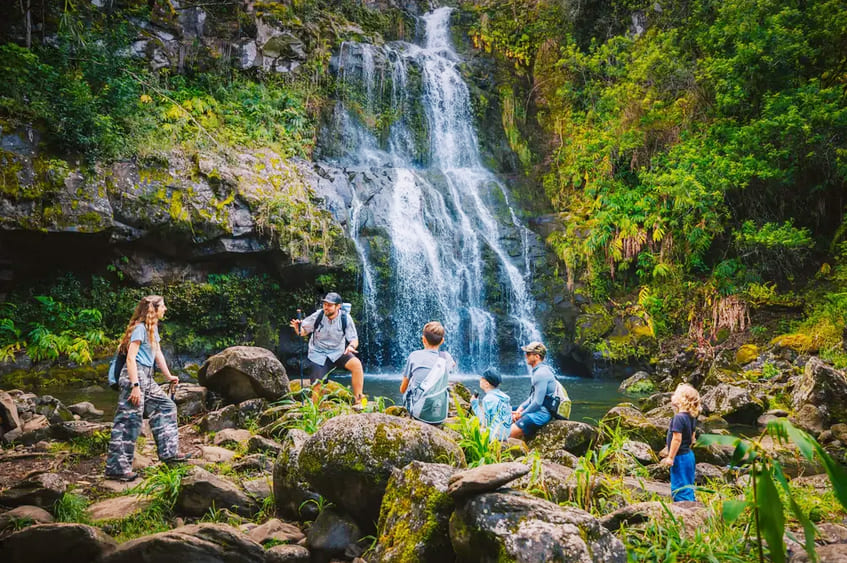 Hawaii Forest and Trail – Kohala Waterfalls Adventure